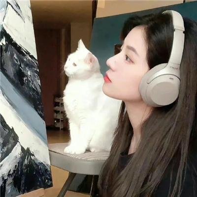 森林：随处可见